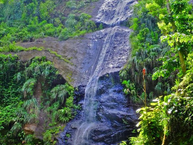 Cascade Couleuvre Prêcheur Martinique