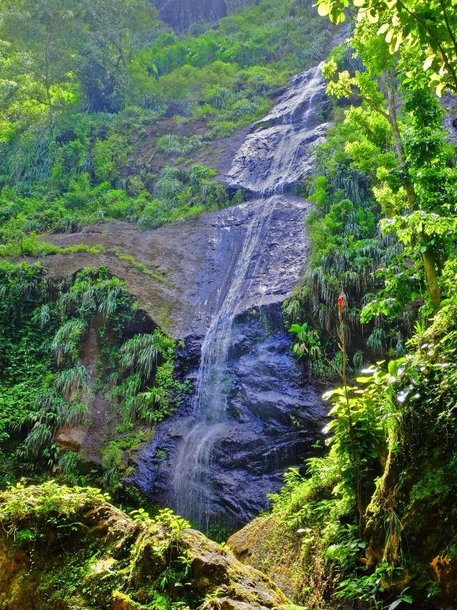 Cascade Couleuvre Prêcheur Martinique