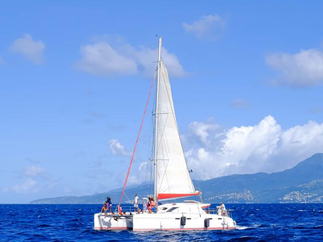 Catamaran Voile Kokoumdo Trois-îlets Martinique