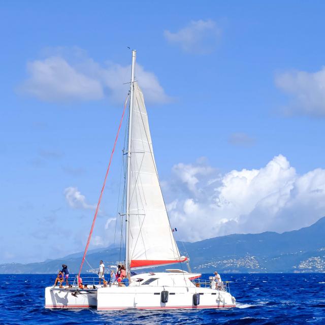 Catamaran Voile Kokoumdo Trois-îlets Martinique