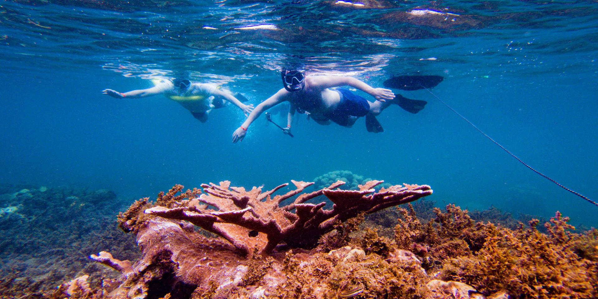 Seabed Snorkeling Les Aquanautes Marin Martinique