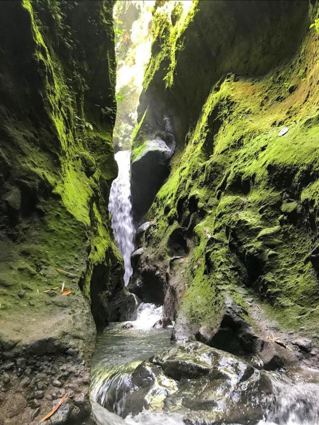 Gorges de la falaise Randonnée Fonds-Saint-Denis Martinique