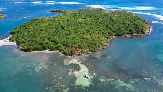 Ilet Chevalier Fond blanc Sainte-Anne Martinique