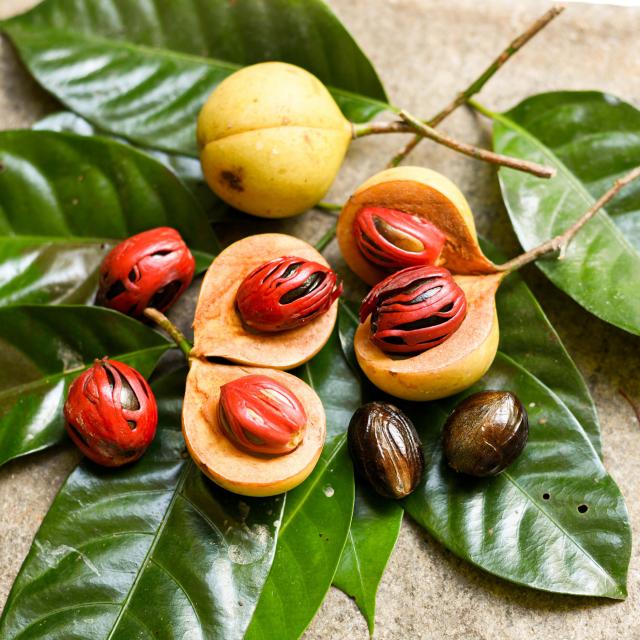 Noix de muscade Fruit Massis Épices Martinique