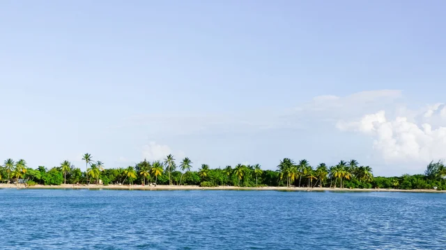 Plage des Salines Sainte-Anne Martinique