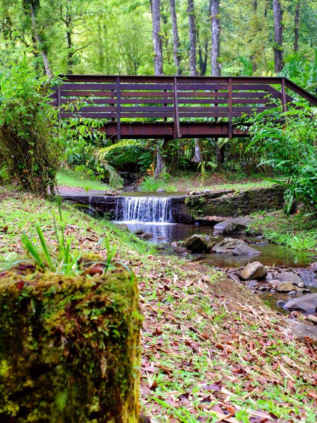 Pont Rivière Coeur Bouliki Saint-Joseph Martinique