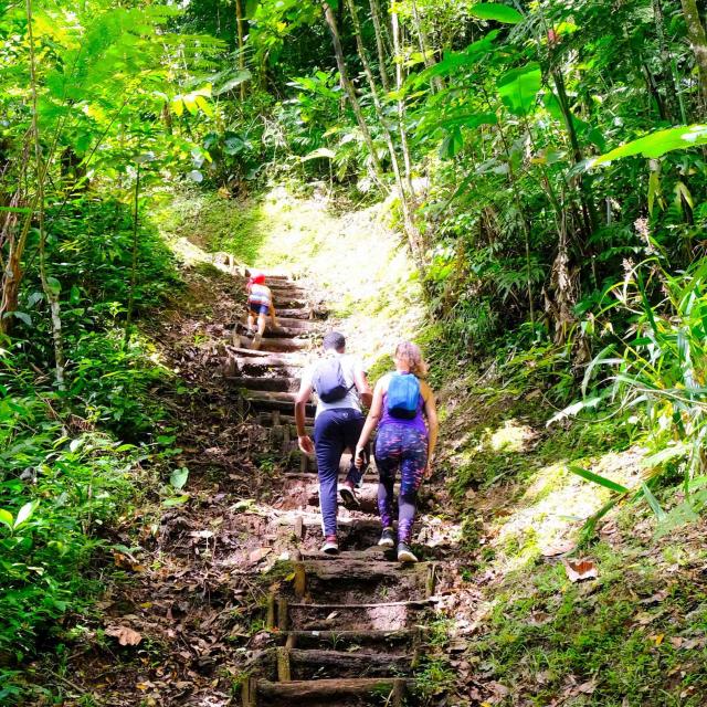 Randonnée Absalon Fort-de-France Martinique