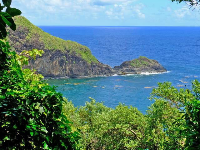 Hiking Forest La Philippe Sainte-Marie Martinique