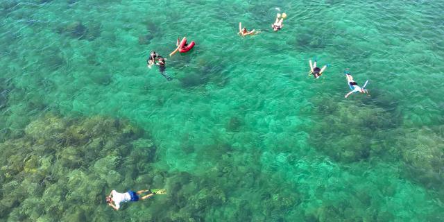 Snorkeling Les Aquanautes Marin Martinique