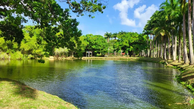 Garden pool House Clément Francois Martinique