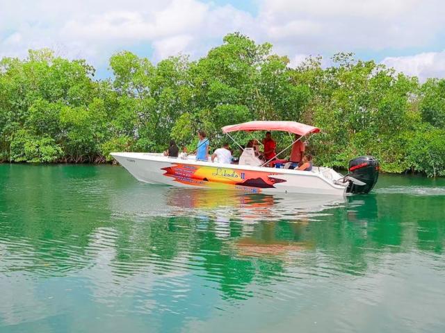 Mangrove Excursion Libodo Rivière Pilote Martinique