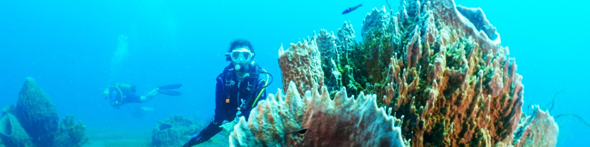 Club de plongée A Papa d'Lo Saint-Pierre Martinique