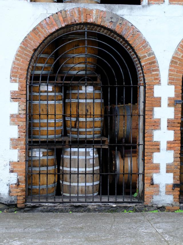 Distillerie Habitation Saint-Etienne Gros-Morne Martinique