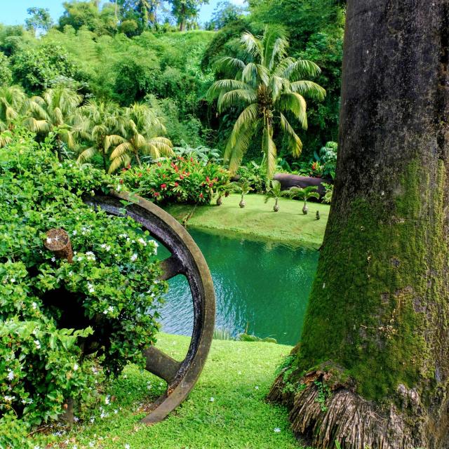 JM Distillery Garden Macouba Martinique