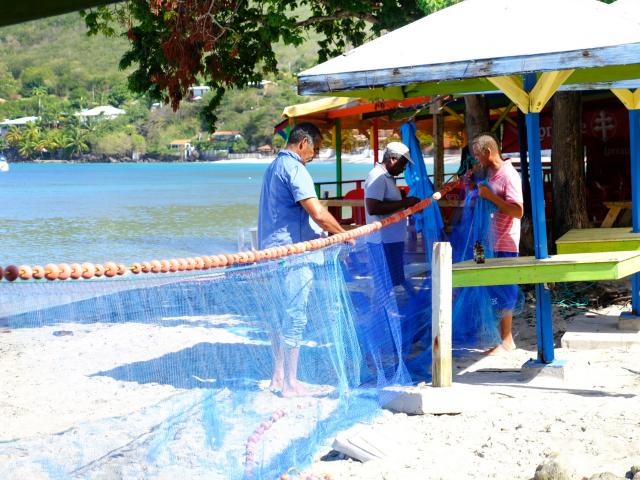 Maillage filet de pêche Plage de Grande Anse Anses-d'Arlet Martinique