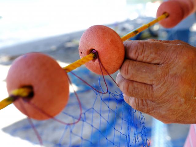 Fishing net mesh size Grande Anse Anses d'Arlet Martinique