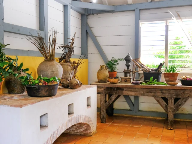 House Kitchen Dwelling Clément Francois Martinique