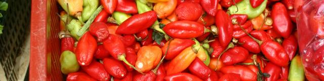 Marché Piments végétarien Épice Martinique