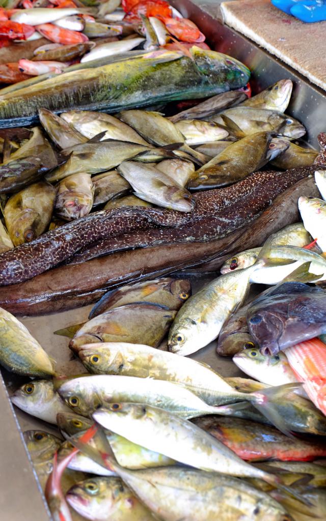 Marché aux poissons Pêcheur Étal Trinité Martinique