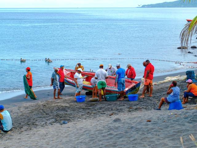 Pêche à la senne Carbet Martinique