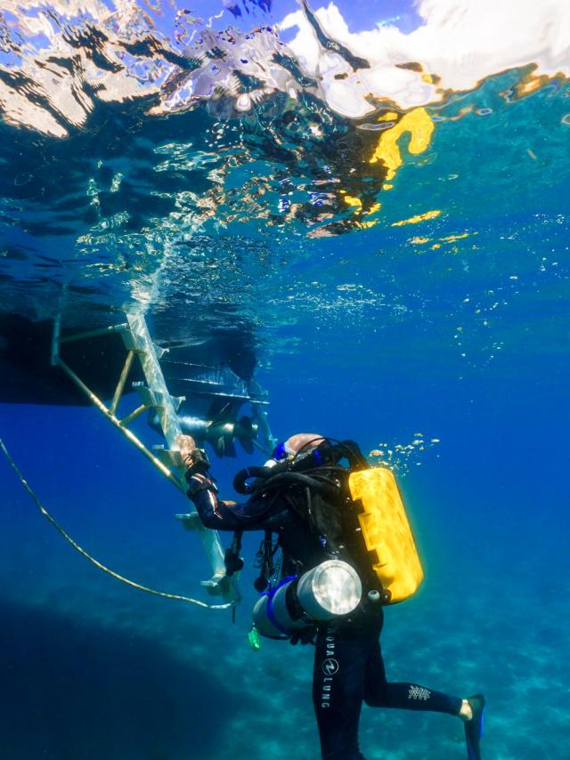 Diver A Papa d'Lo Saint-Pierre Martinique