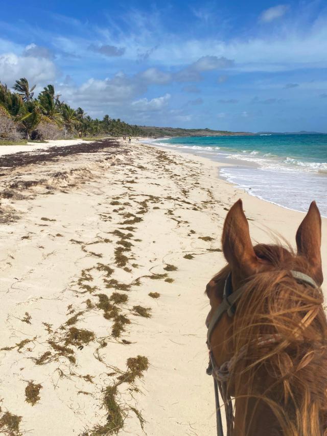 Ranch Anse macabou Vauclin Martinique