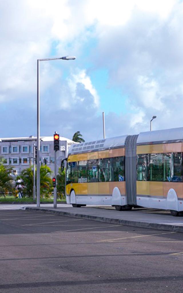 Tcsp Bus Martinique