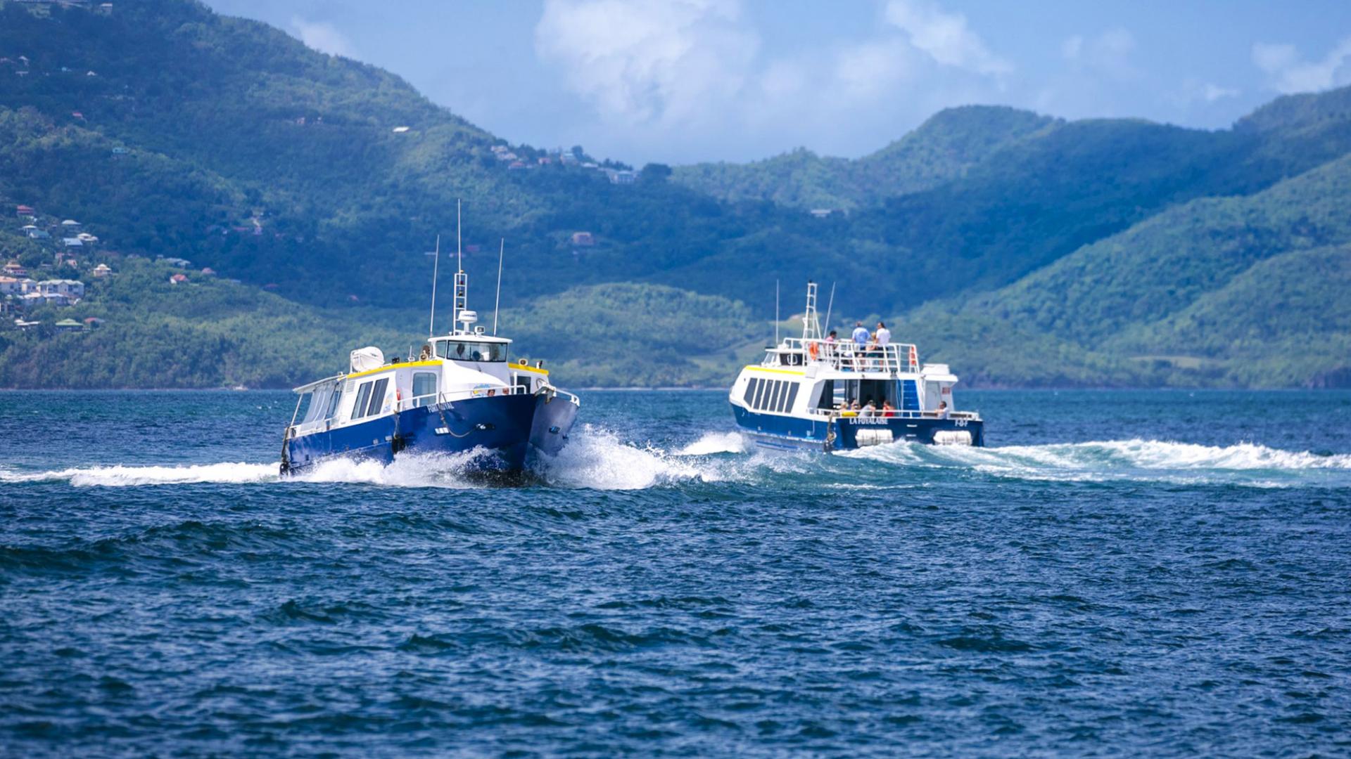 Vedette Fort-de-France Martinique