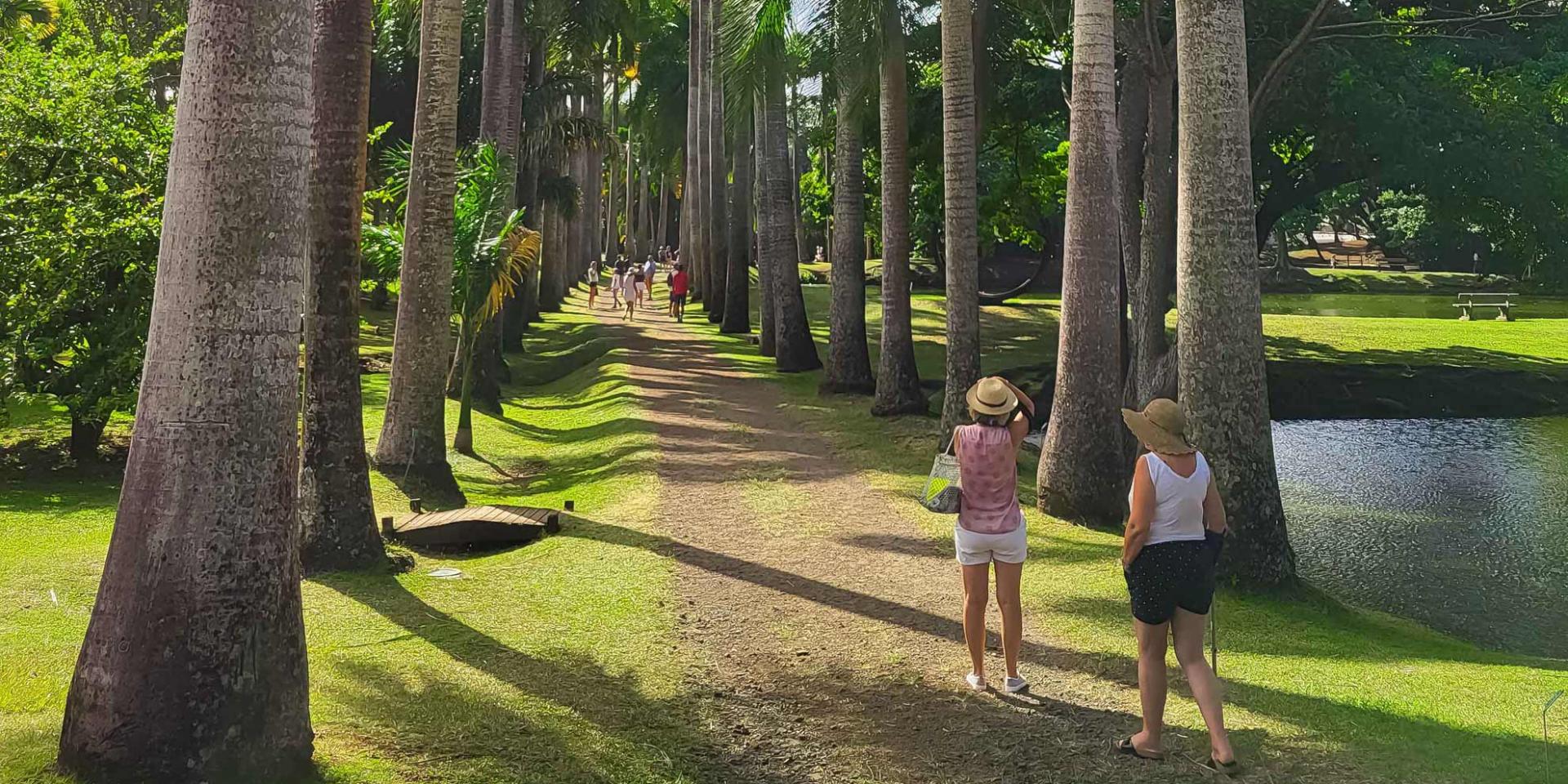 Visite Jardin Habitation Clément François Martinique