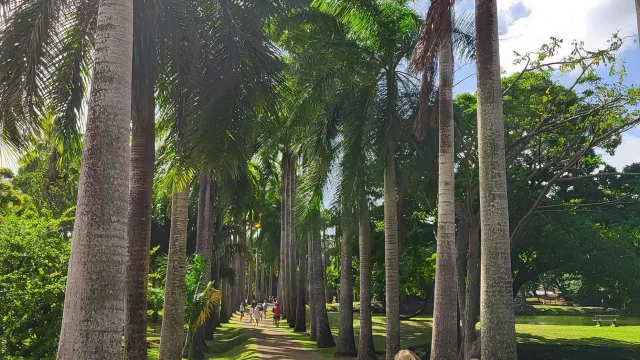 Visite Jardin Habitation Clément François Martinique