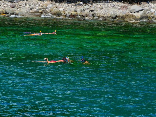 Snorkeling Fond Boucher Soley Mambo Kata Mambo Martinique