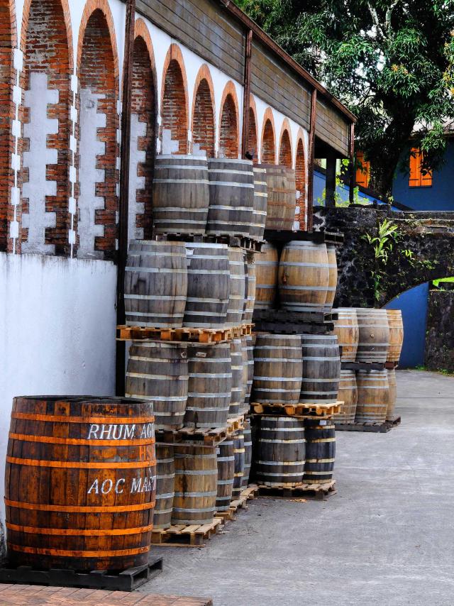 Distillerie HSE Habitation Saint-Etienne Gros-Morne Martinique