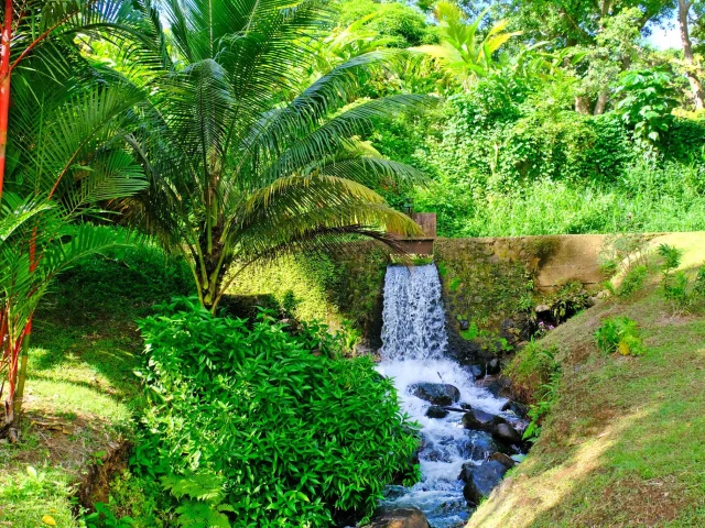 Jardin remarquable HSE Rhumerie Habitation Saint-Etienne Gros-Morne Martinique