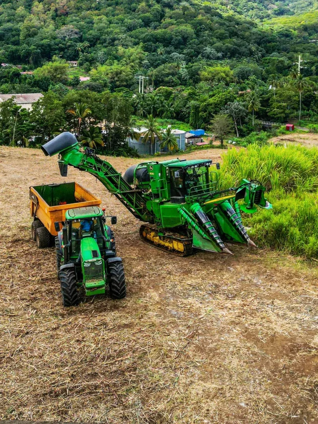 Récolteuse Canne à sucre Tracteur Distillerie Maison La Mauny Rivière-Pilote Martinique