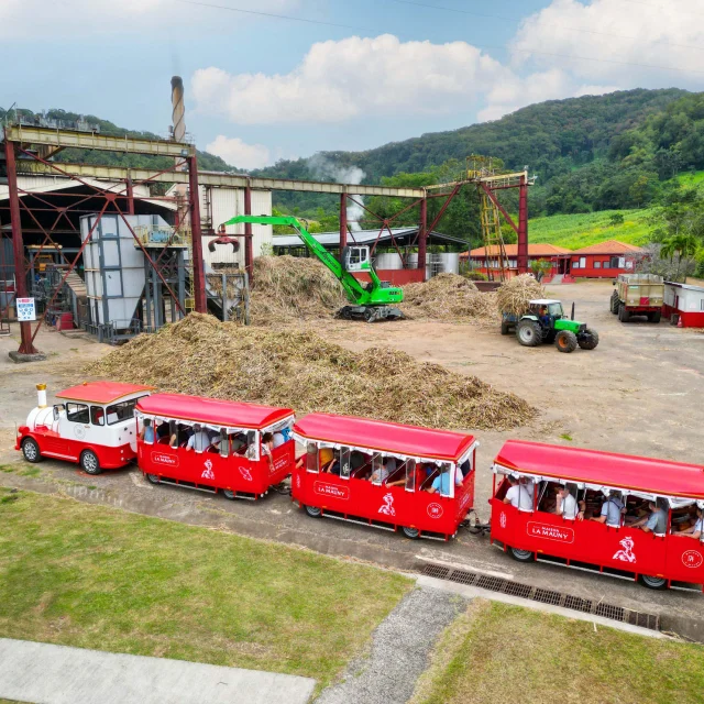 Visite en train Distillerie Maison La Mauny Rivière-Pilote Martinique