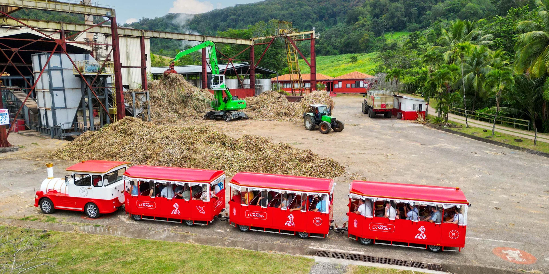 Visite en train Distillerie Maison La Mauny Rivière-Pilote Martinique