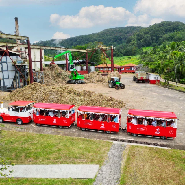 Visite en train Distillerie Maison La Mauny Rivière-Pilote Martinique