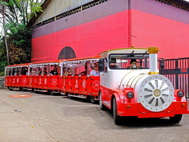 Visite en train Distillerie Maison La Mauny Rivière-Pilote Martinique