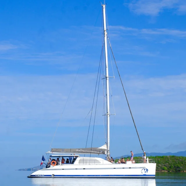 Catamaran Blue Dream Trois-îlets Martinique