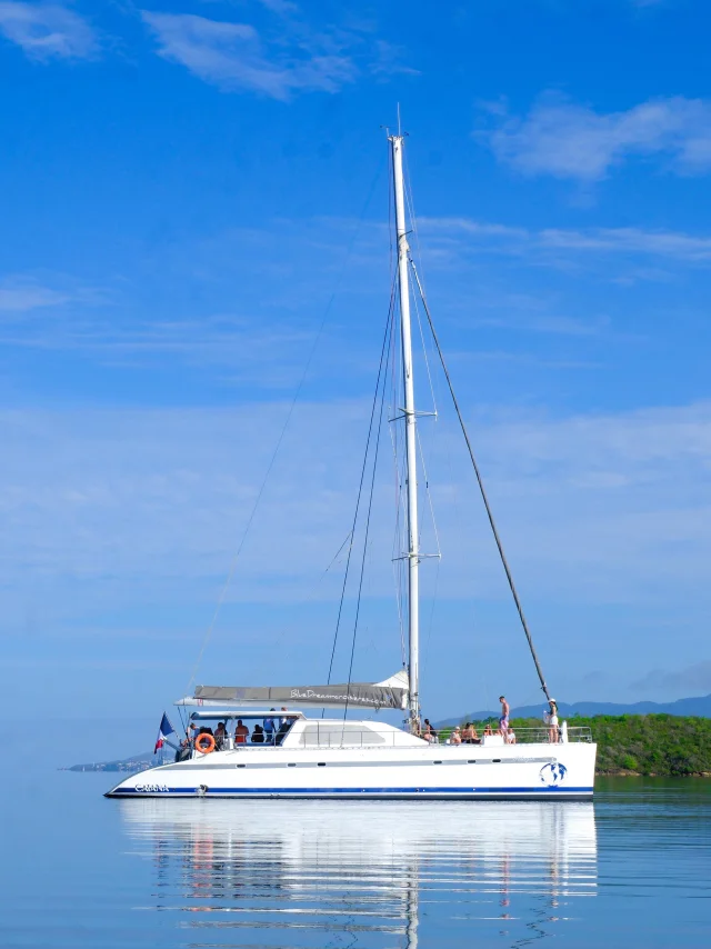 Catamaran Blue Dream Trois-îlets Martinique