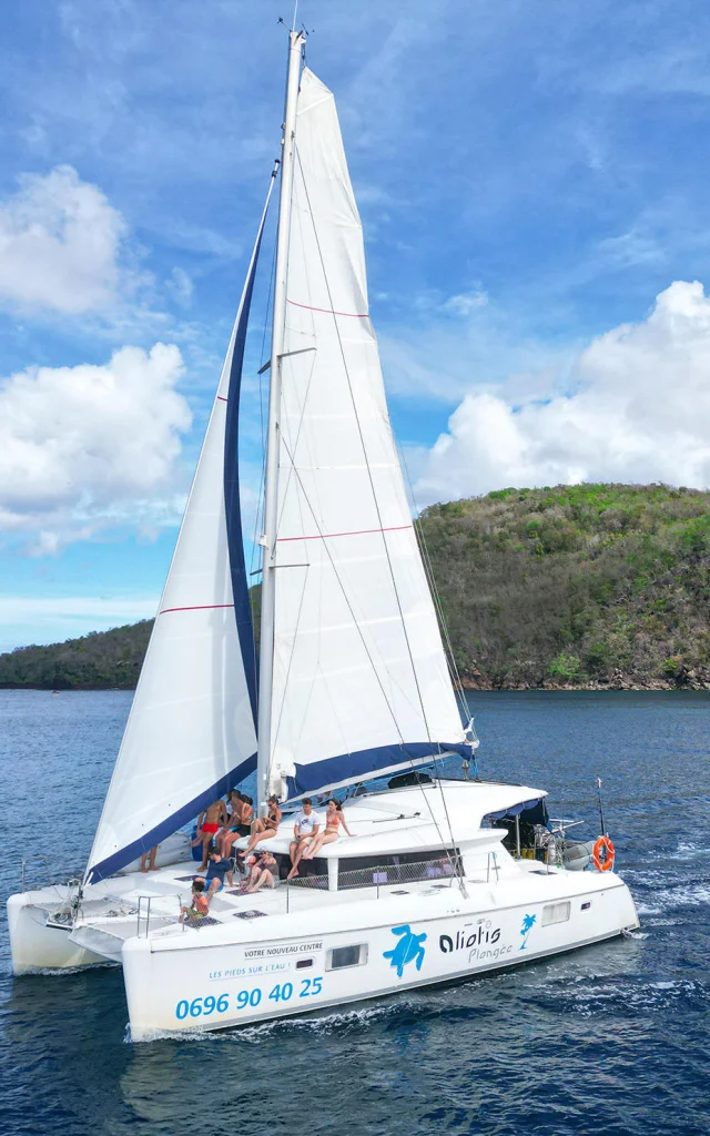 Catamaran Aliotis Les Anses-d'Arlet Martinique