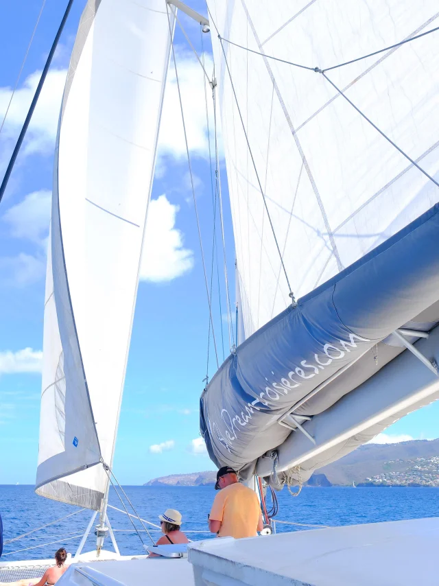 Catamaran Blue Dream Trois-îlets Martinique