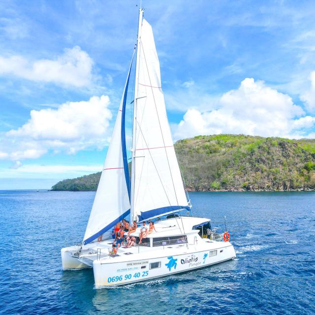 Catamaran Aliotis Les Anses-d'Arlet Martinique