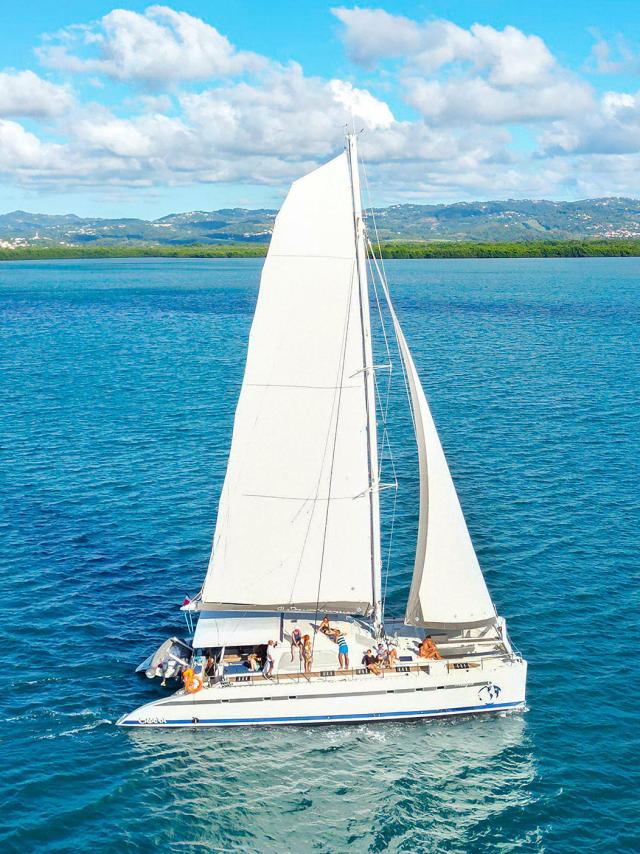 catamaran15-bluedream-troisilets-martinique