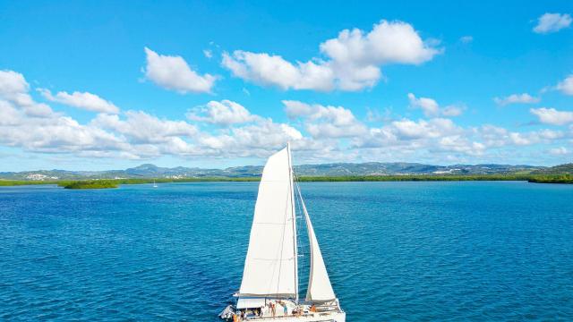 catamaran5-bluedream-troisilets-martinique