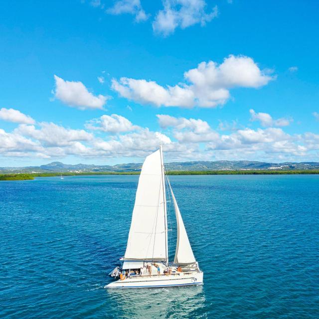 Catamaran Blue Dream Trois-îlets Martinique