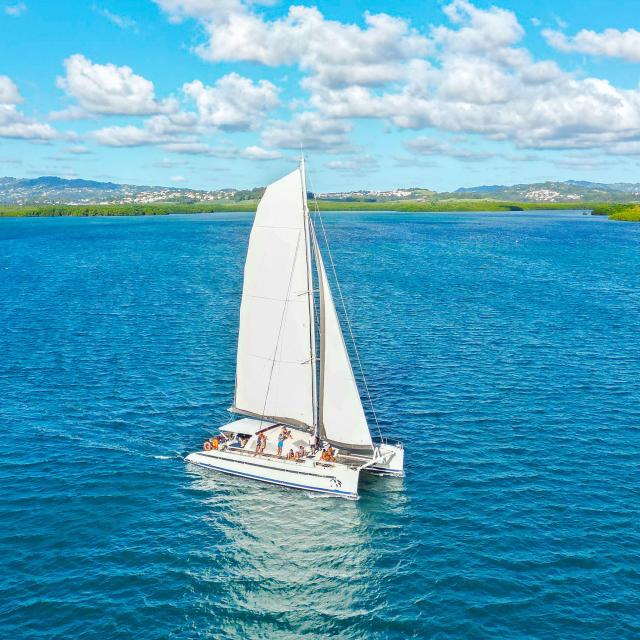 Catamaran Blue Dream Trois-îlets Martinique