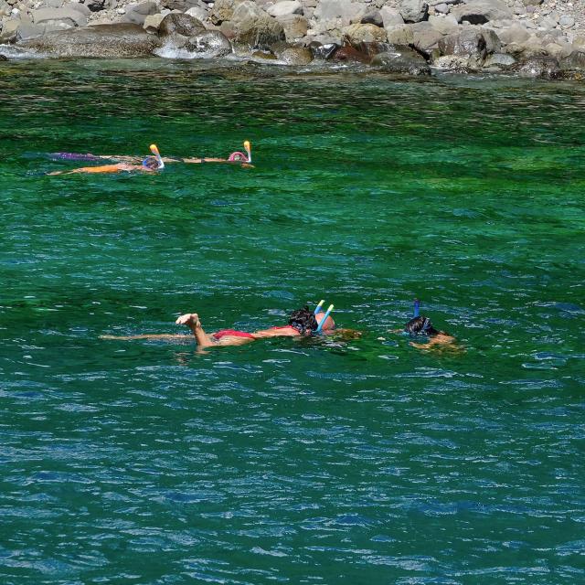 snorkeling3-catamaran-bluedream-troisilets-martinique