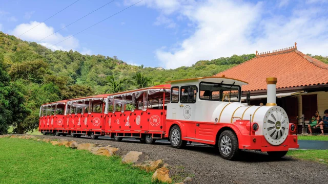 Visite en train Distillerie Maison La Mauny Rivière-Pilote Martinique