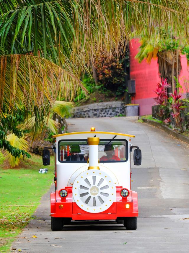 Visite en train Distillerie Maison La Mauny Rivière-Pilote Martinique